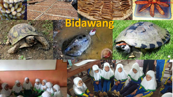 Menerawang Bidawang dari Pulau Seberang