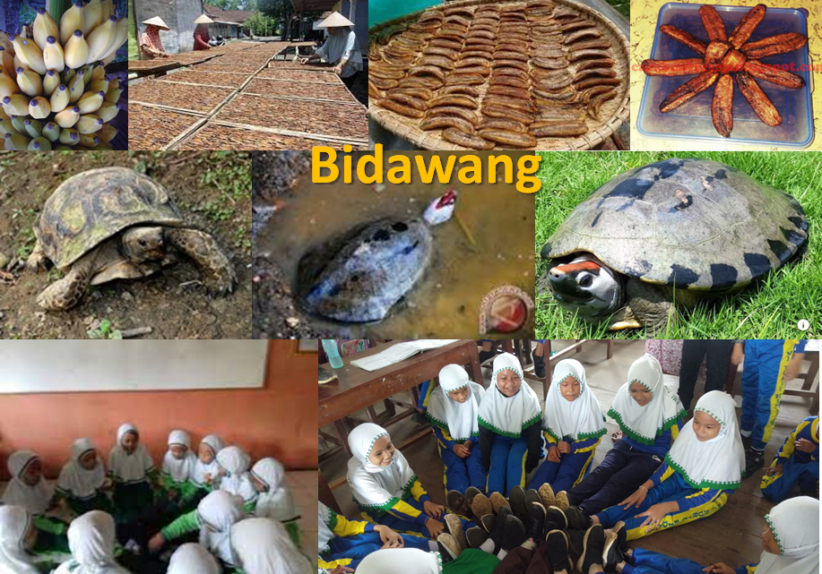 Menerawang Bidawang dari Pulau Seberang