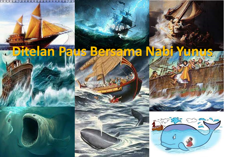 Ditelan Paus Bersama Nabi Yunus AS