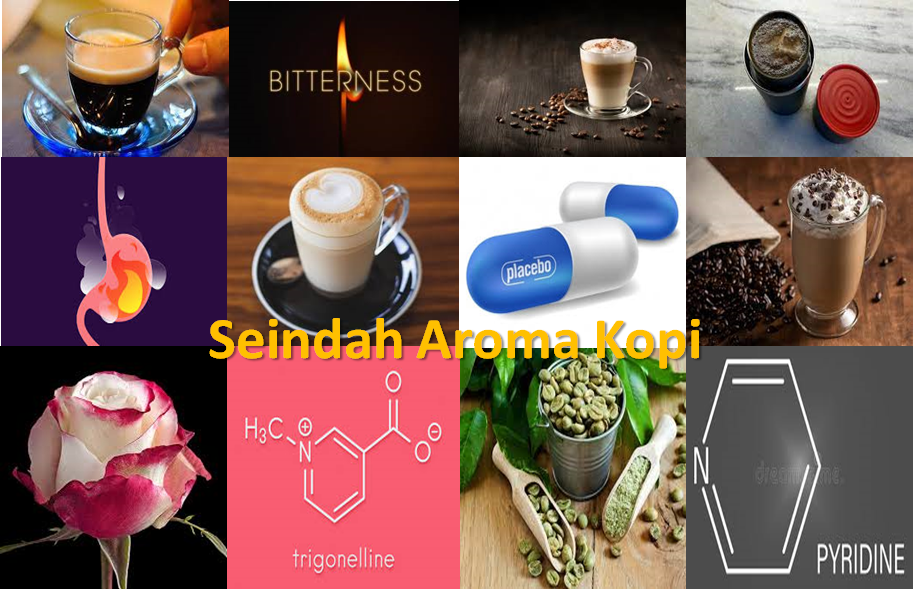 Seindah Aroma Kopi