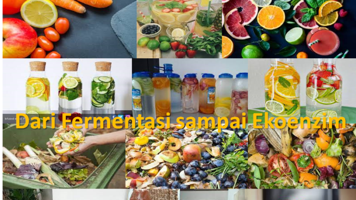 Dari Fermentasi sampai Ekoenzim